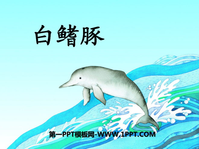 "Baiji Dolphin" PPT courseware 3