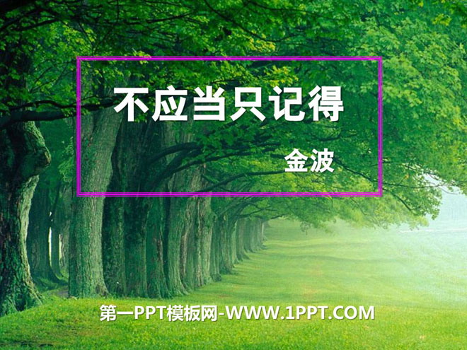 "Don't Just Remember" PPT Courseware