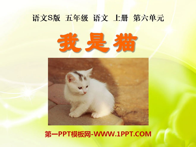 "I am a Cat" PPT courseware 4