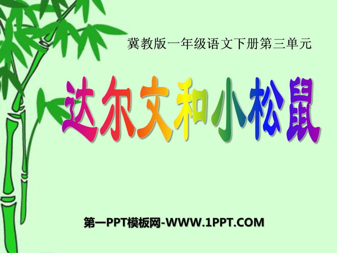 《達爾文與小松鼠》PPT課程4