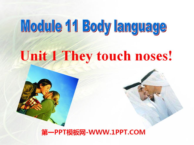 "They touch noses" Body language PPT courseware 2