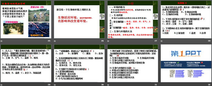 《生物与环境的关系》PPT课件（4）