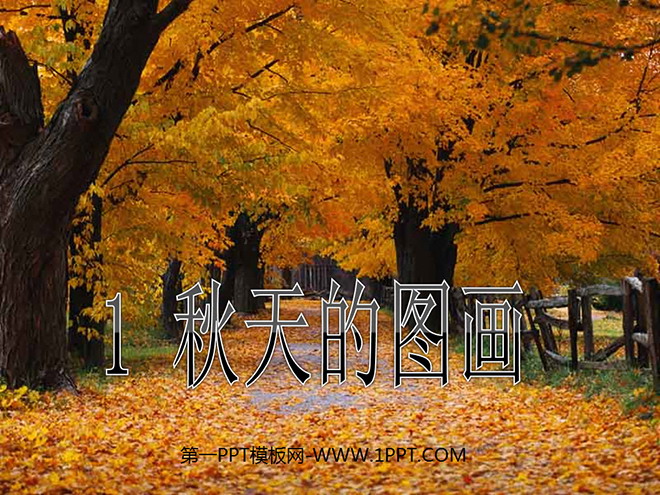 "Autumn Pictures" PPT teaching courseware download 7