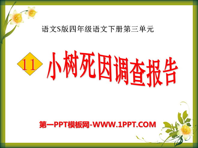 "Investigation Report on Xiaoshu's Cause of Death" PPT courseware