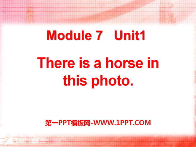 "There is a horse in this photo" PPT courseware 3