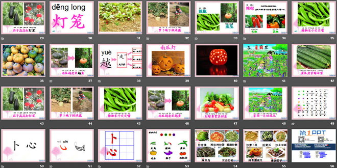 《菜园里》PPT课件6
（3）