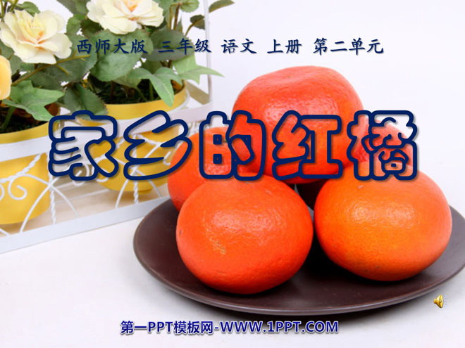 "Red Oranges in Hometown" PPT courseware 4
