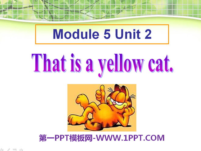 《This is a yellow cat》PPT課件2
