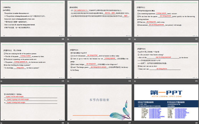 《Wildlife Protection》SectionⅣ PPT课件（3）