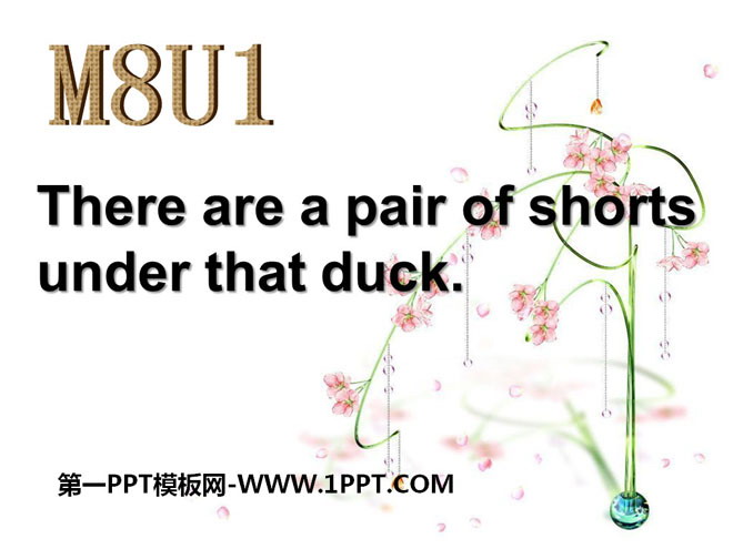 "There's a pair of shorts under that duck" PPT courseware 2
