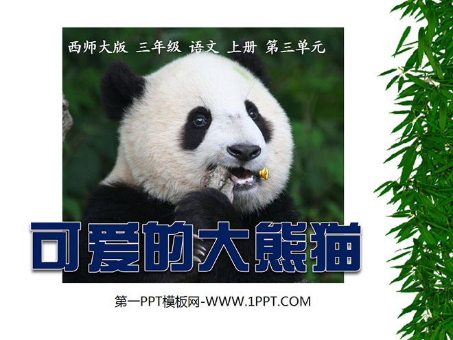 《可爱的大熊猫》PPT课件2
