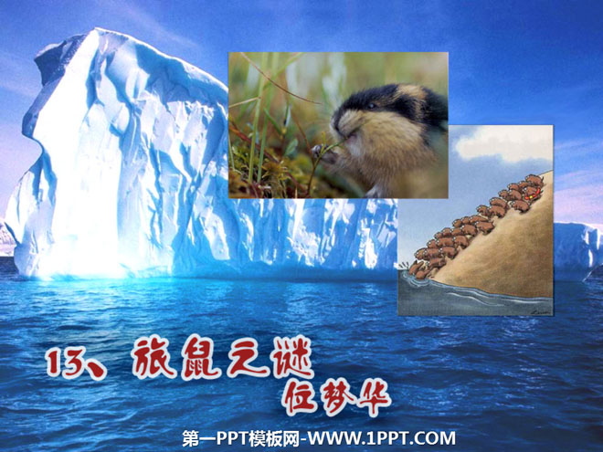 "The Mystery of the Lemmings" PPT Courseware 7
