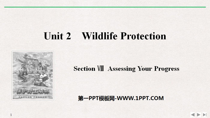 "Wildlife Protection" SectionⅧ PPT courseware