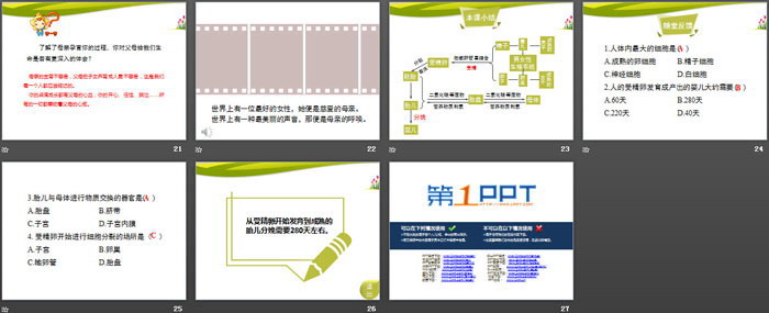 《精卵结合孕育新的生命》PPT下载（4）