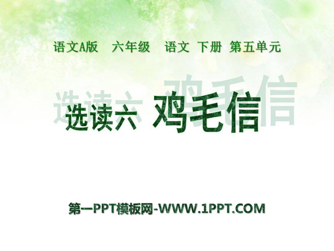 《鸡毛信》PPT课件5
