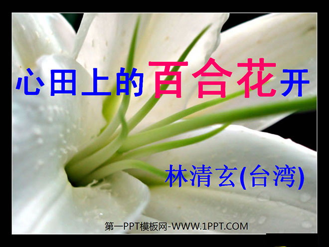 "Lily in the Heart" PPT Courseware 2