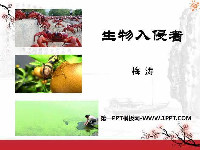 《生物入侵者》PPT课件4
