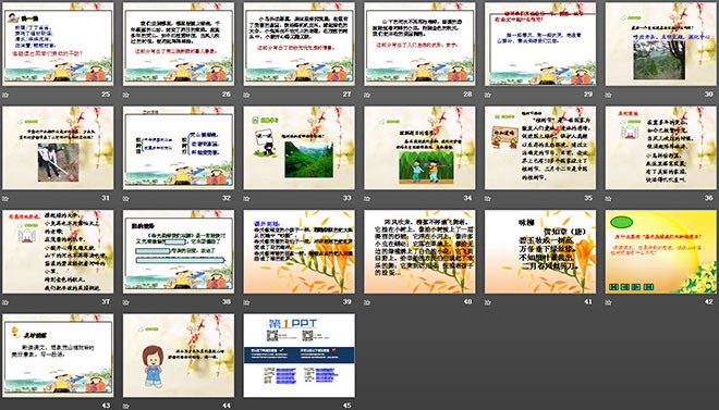 《春光染绿我们双脚》PPT课件5
(3)