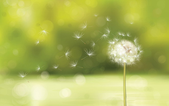 IOS style green spot background dandelion PPT background picture