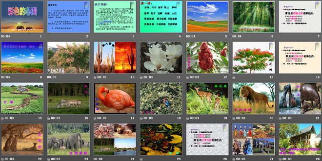 《彩色的非洲》PPT课件8（2）