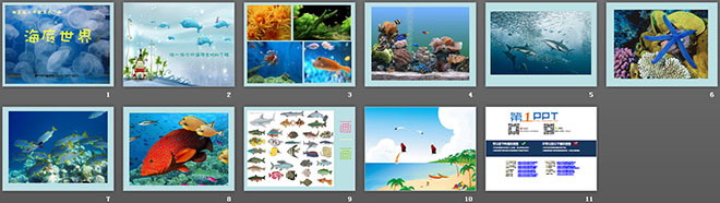 《海底世界》PPT课件下载
（2）