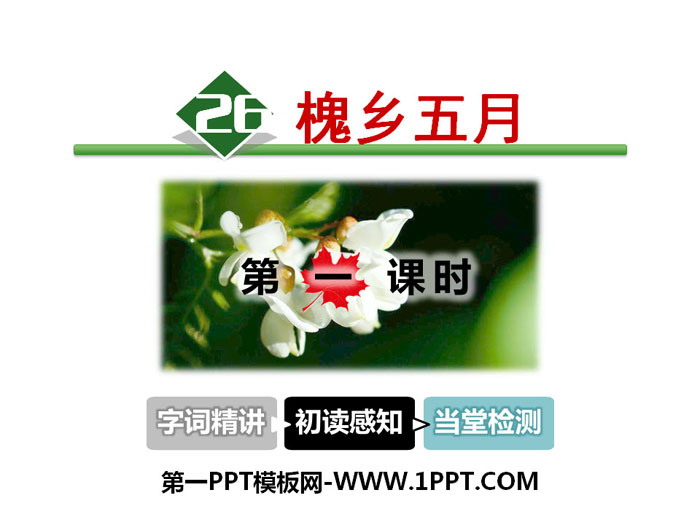 "May in Huaixiang" PPT