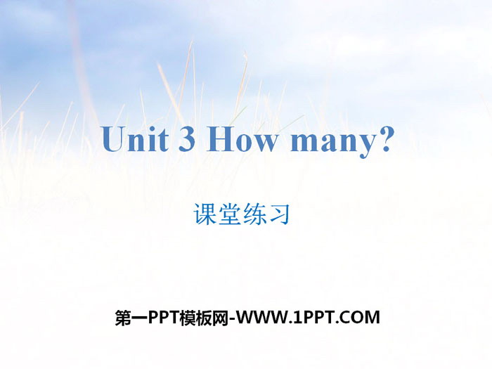 《How many?》課堂練習PPT