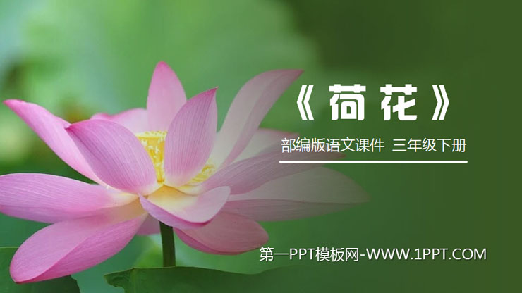 "Lotus" PPT courseware free download