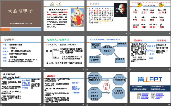 《大雁与鸭子》PPT
（2）