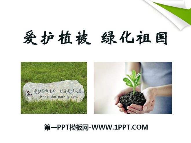 《愛護植被，綠化祖國》PPT課件7