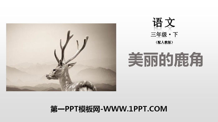 "Beautiful Antlers" PPT courseware