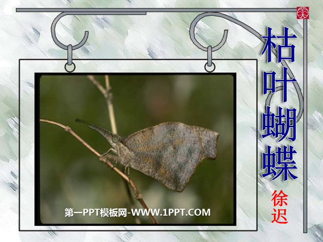 "Dead Leaf Butterfly" PPT courseware 2