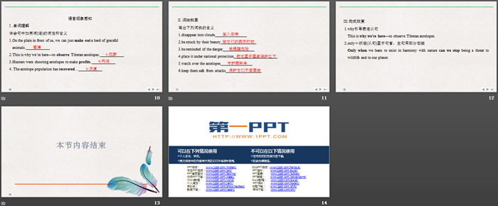 《Wildlife Protection》SectionⅡ PPT课件（3）