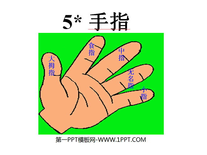 "Fingers" PPT courseware 3