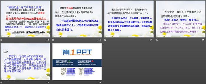 《金盏花的种子》PPT（3）