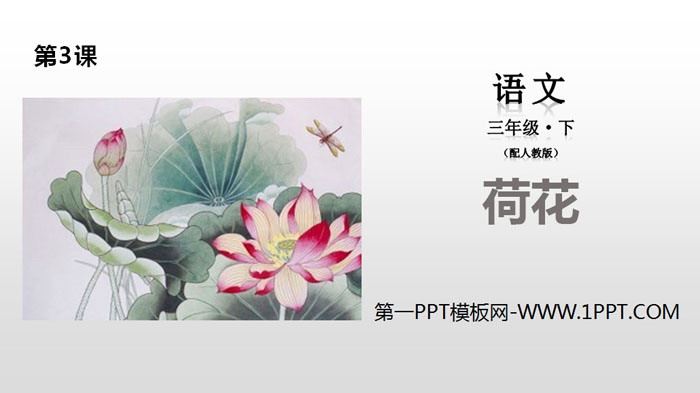 "Lotus" PPT free download
