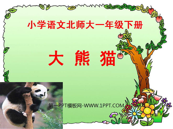 "Giant Panda" PPT courseware 2