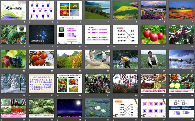 《风是一位画家》PPT课件5（2）