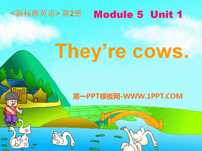 "They're cows" PPT courseware 3