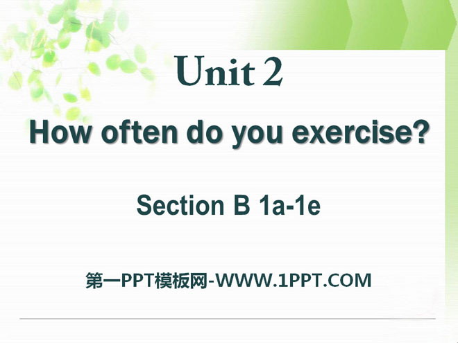 "How often do you exercise?" PPT courseware 24