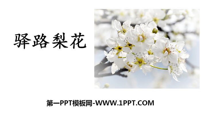 "Yilu Lihua" PPT teaching courseware