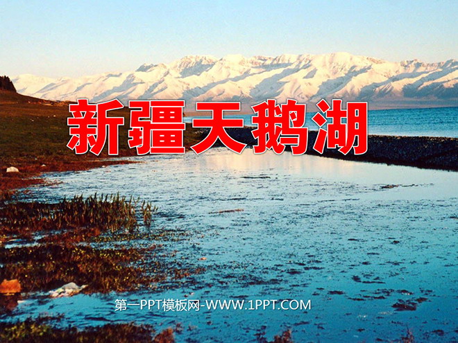 "Xinjiang Swan Lake" PPT courseware