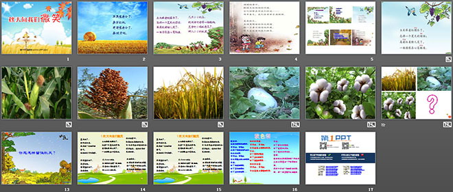 《秋天向我们微笑》PPT课件2（2）