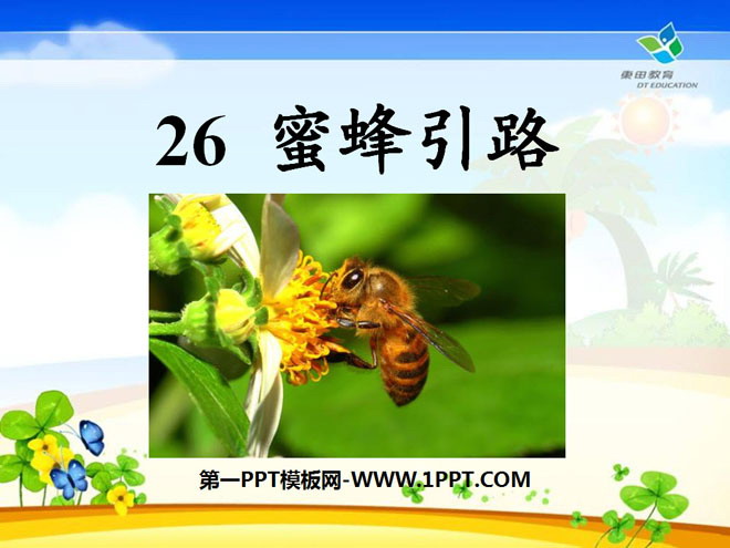 《蜜蜂引路》PPT课件8
