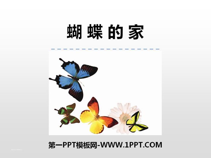 《蝴蝶的家》PPT教學課件