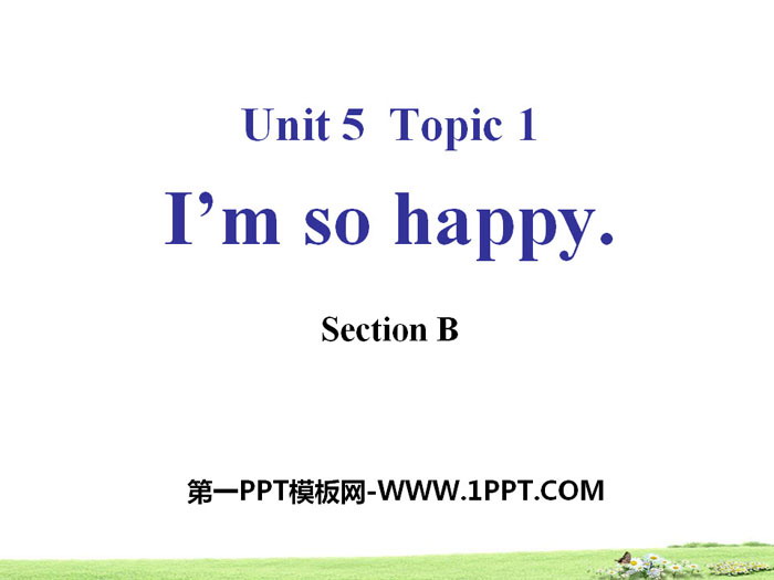 "I'm so happy"SectionB PPT