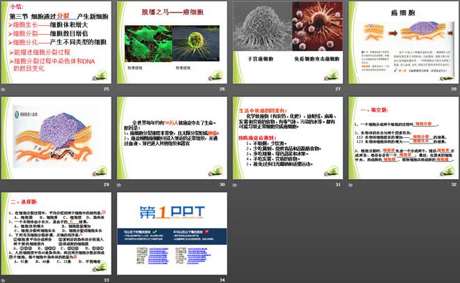 《细胞通过分裂而增殖》PPT（4）