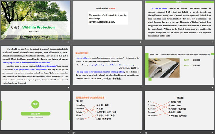 《Wildlife Protection》Period One PPT（2）