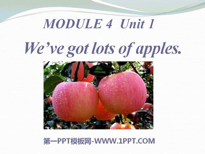 《We've got lots of apples》PPT课件
