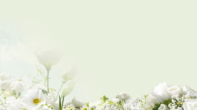 淡雅綠色背景白色花卉PPT背景圖片